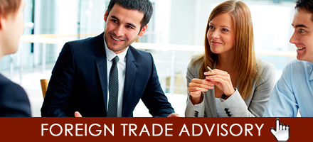 ASESORIA EN COMERCIO EXTERIOR
